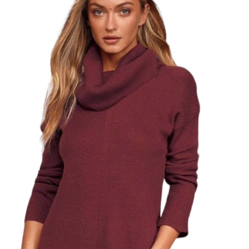 New York & Co Maroon Sweater Medium
